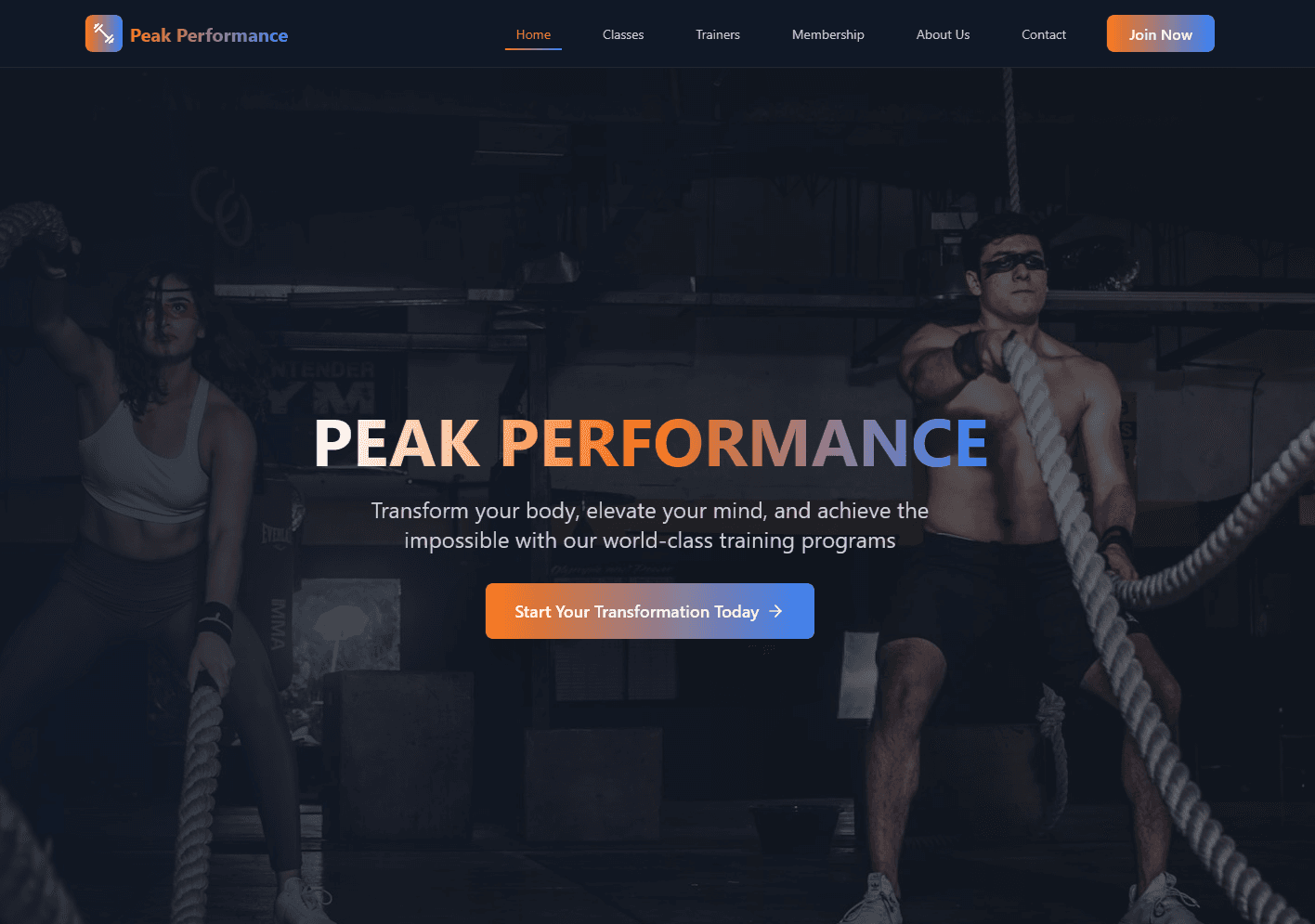 PeakPerformance Fitness - profesionalna izrada sajta wordpress